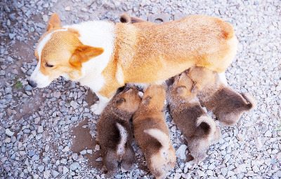 KakaoTalk_20260105_144819637 (1).jpg