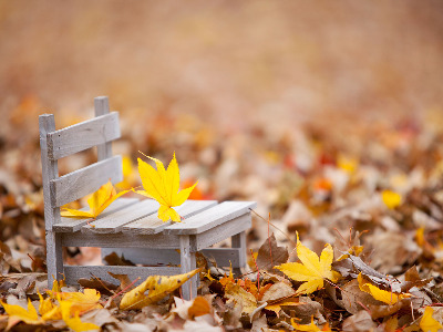 신묘일주 특징.jpg