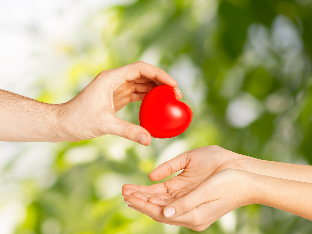 을해일주 결혼.jpg