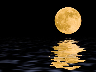 경술일주 (2).jpg