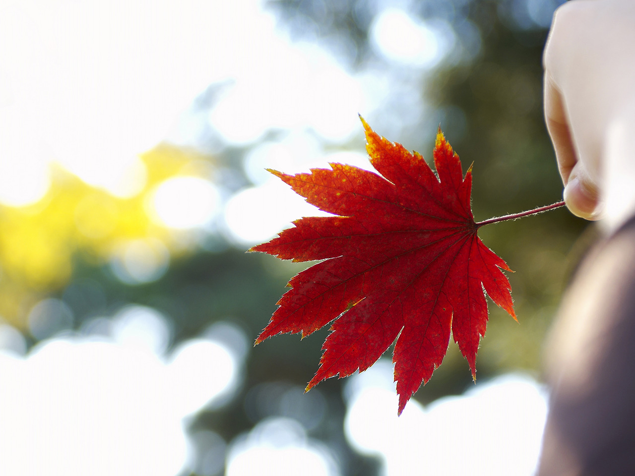 신미일주 특징.jpg