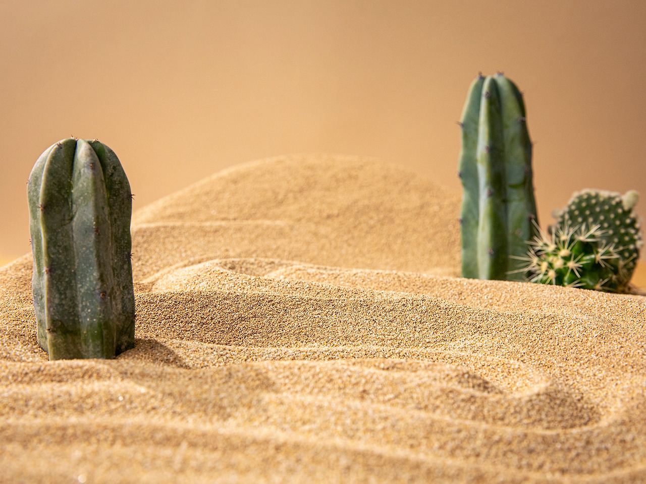 신미일주 성격.jpg