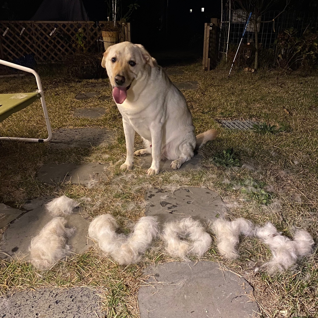 KakaoTalk_20231101_195945308_04 (1).jpg