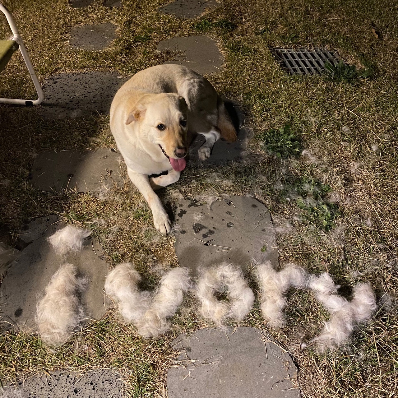 KakaoTalk_20231101_195945308_06 (1).jpg