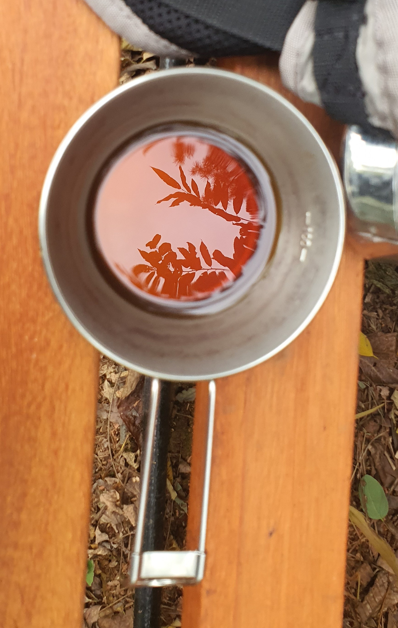 가을단풍 담은 커피.jpg