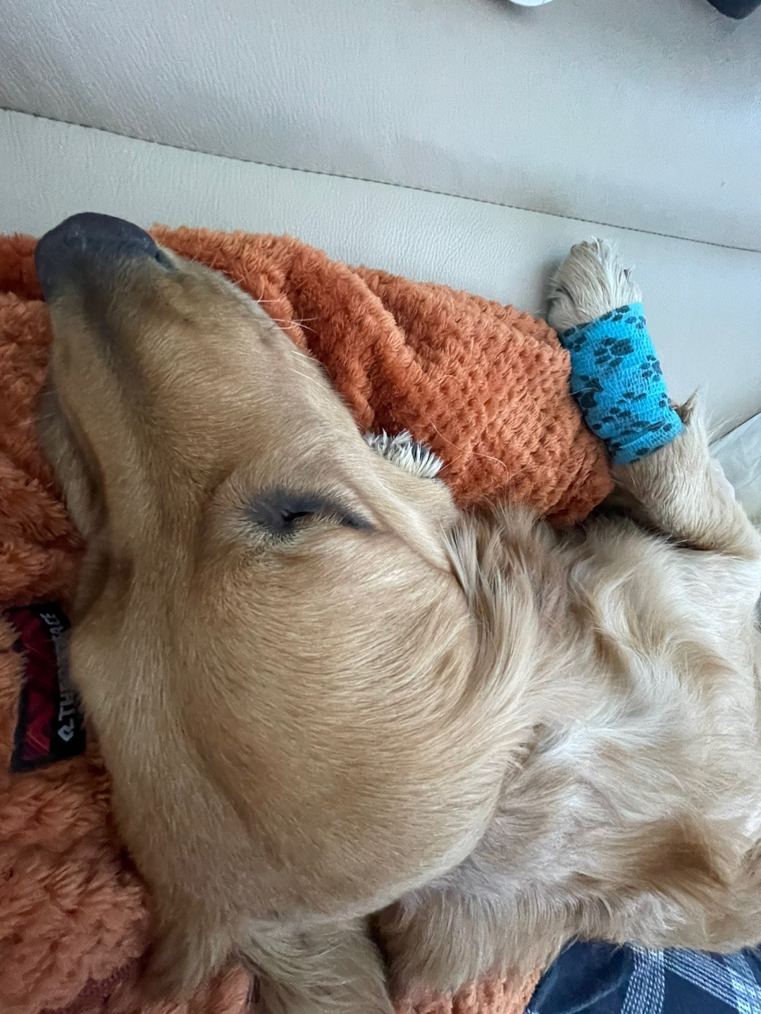 KakaoTalk_20230420_112846515_10 (1).jpg