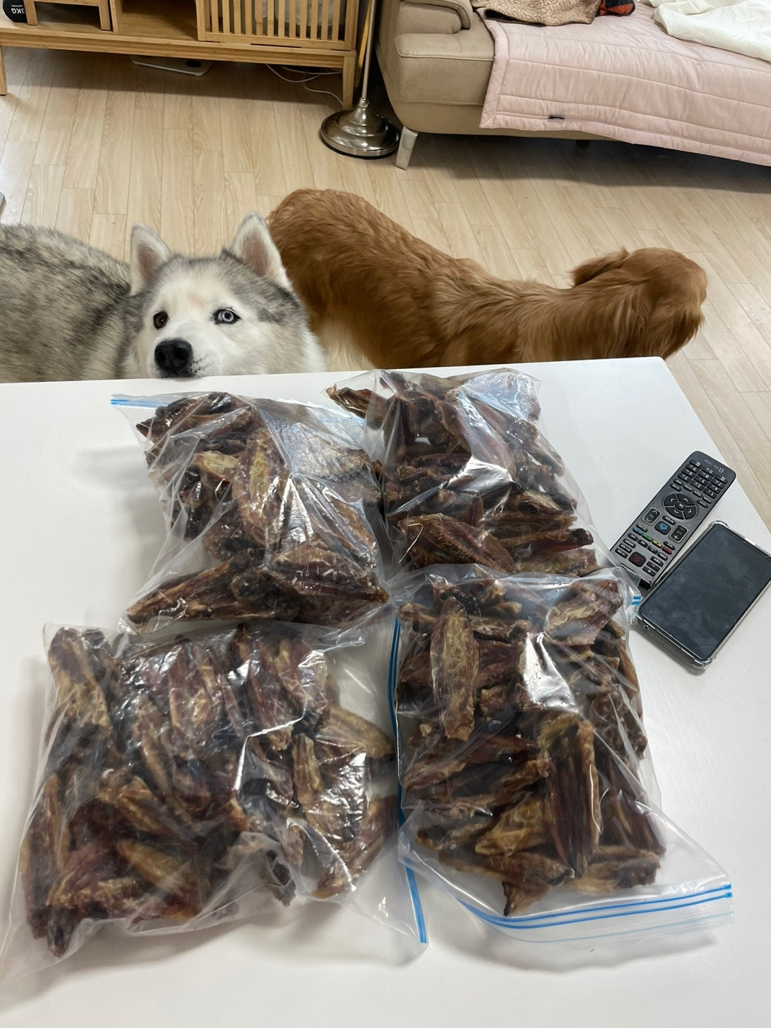 KakaoTalk_20230420_112846515_12 (1).jpg