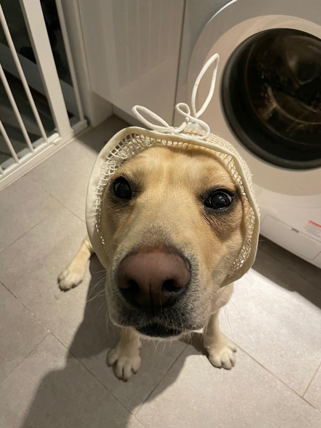 KakaoTalk_20230420_112846515_06 (1).jpg