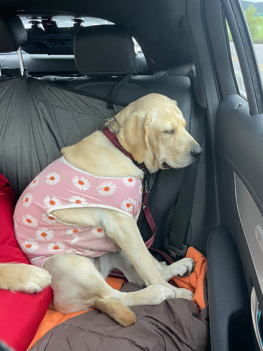 KakaoTalk_20230420_112846515_26 (1).jpg