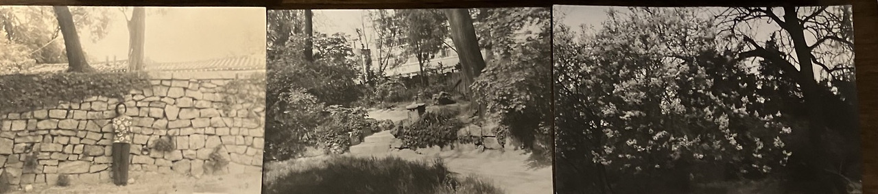 성공회 성당 정원.jpg