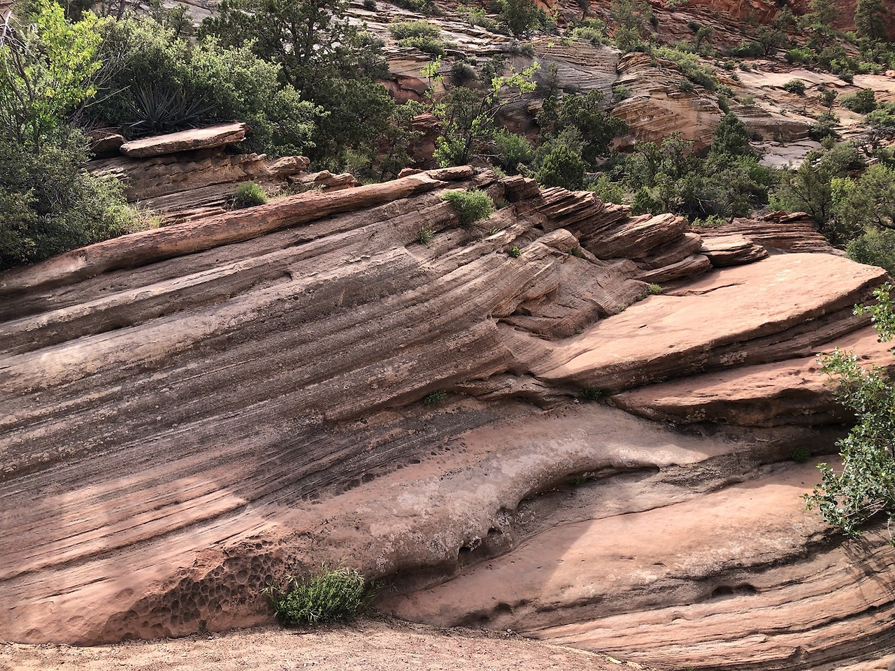 캐피탈 리프8.jpg