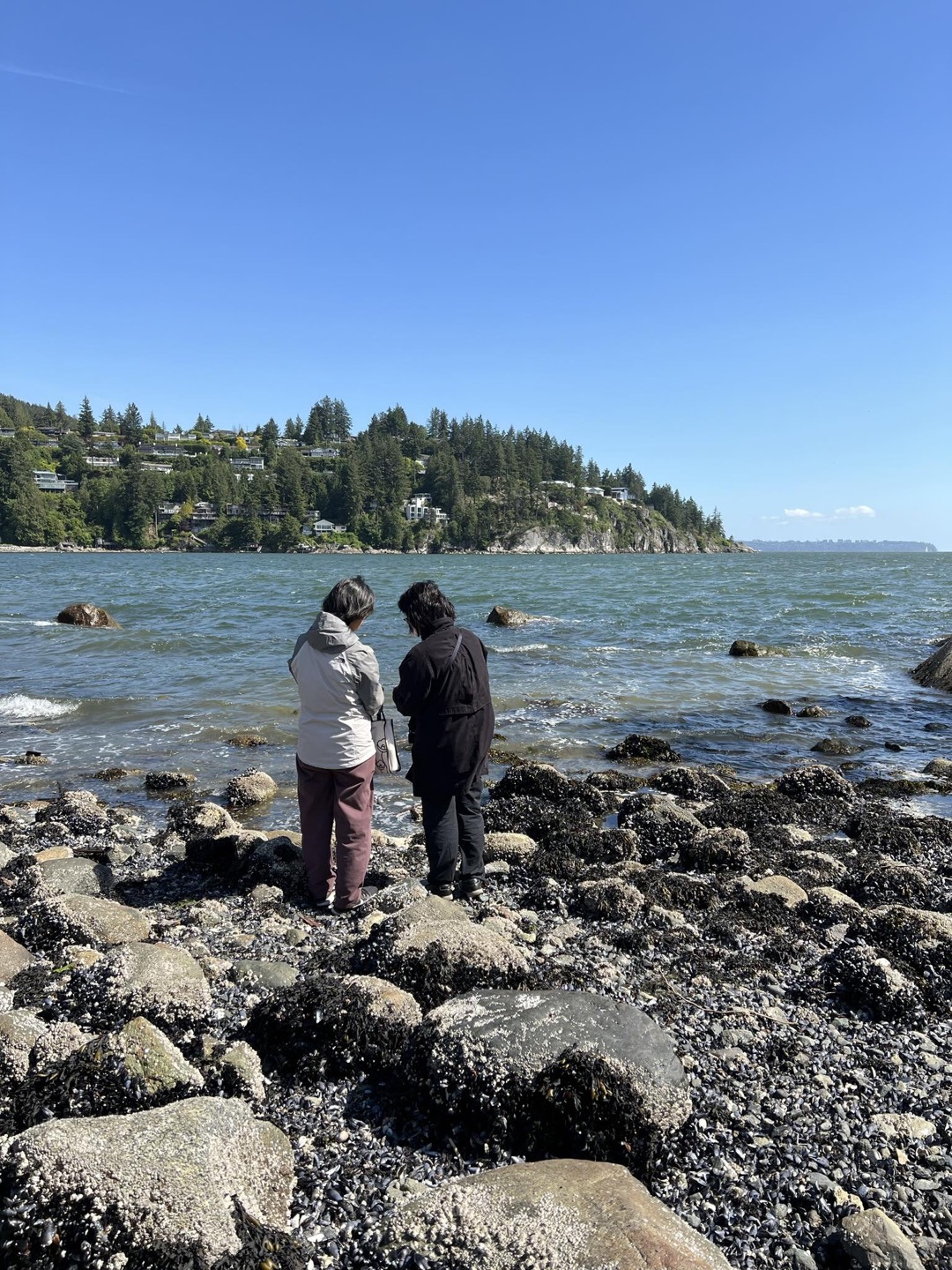 홍합과 두 여인.jpg