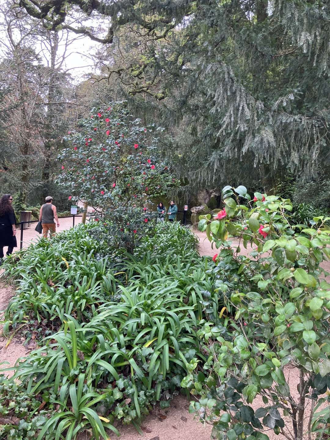 레갈리아 정원.jpg