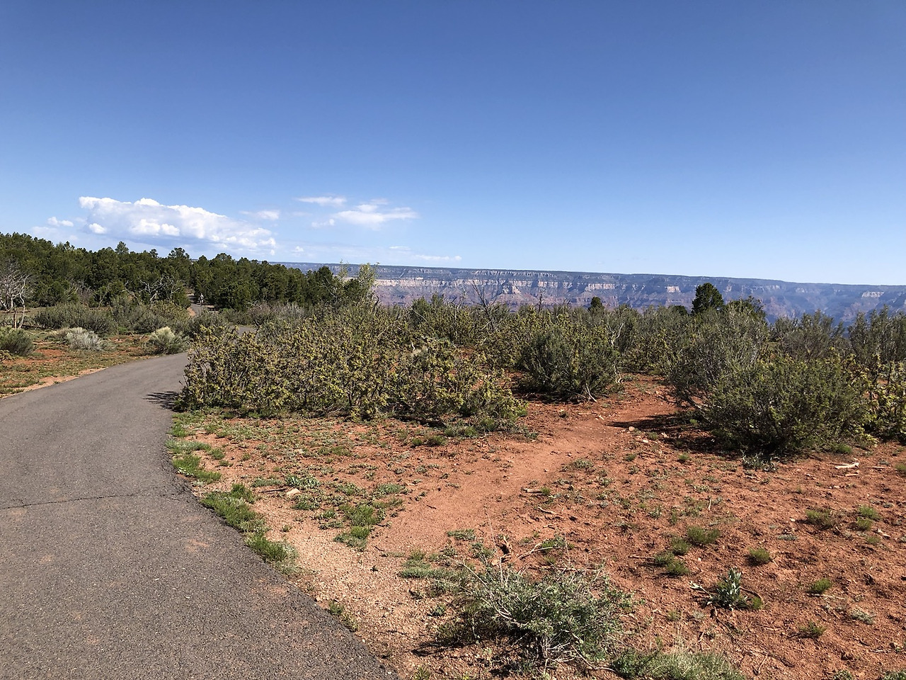 그랜드 캐년 8.jpg