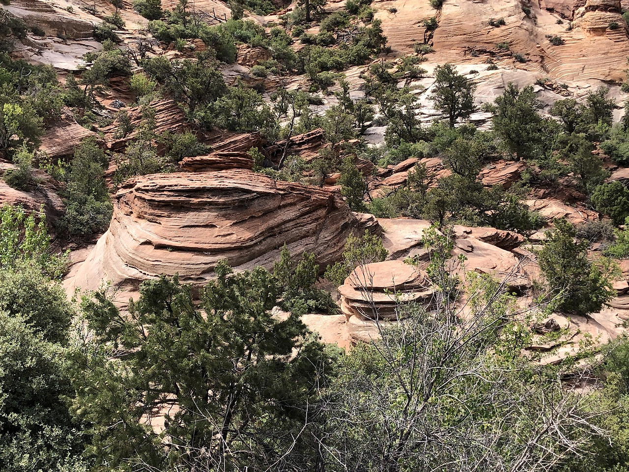 캐피탈 리프7.jpg