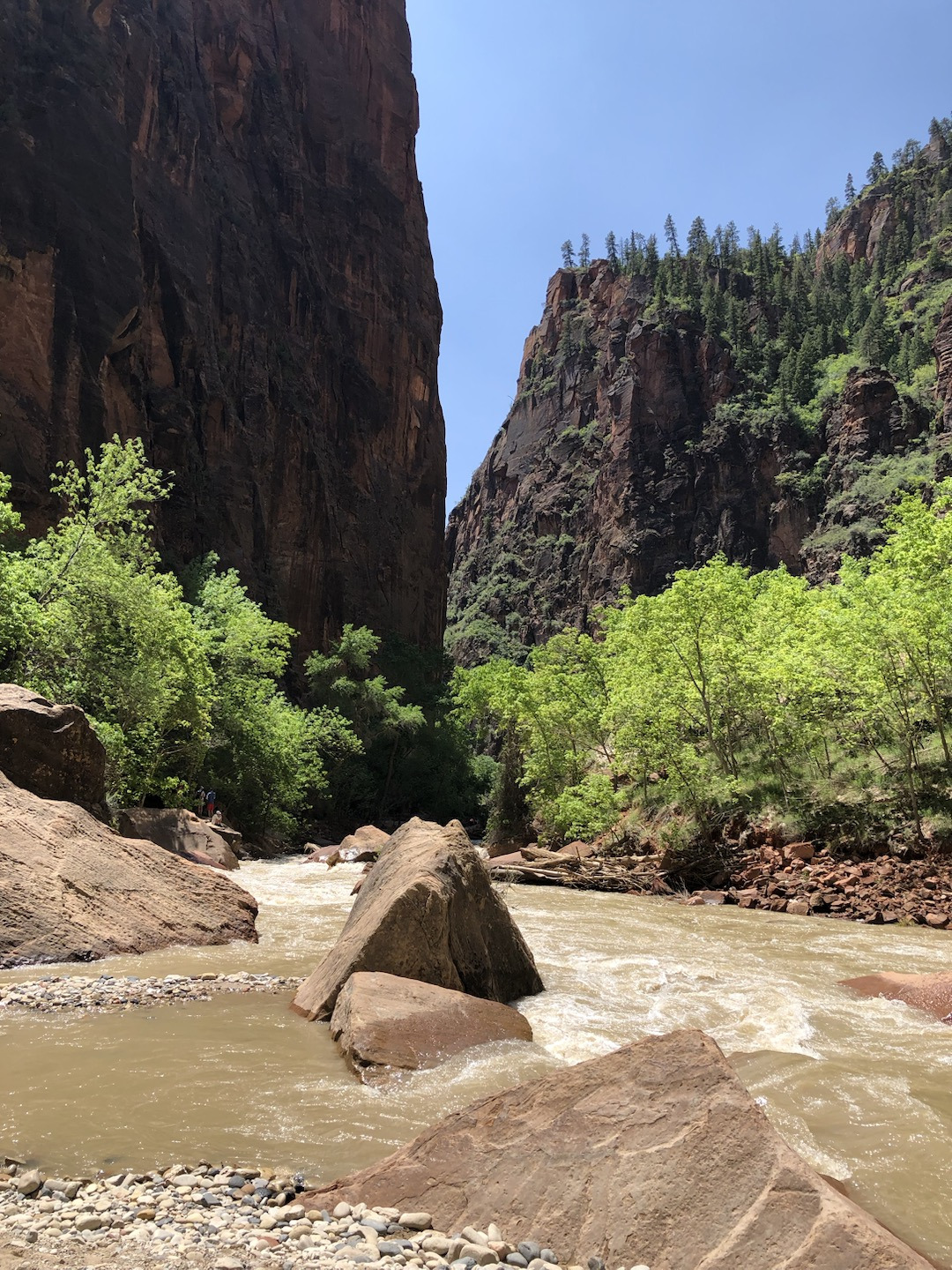 리버사이드 트레일.jpg