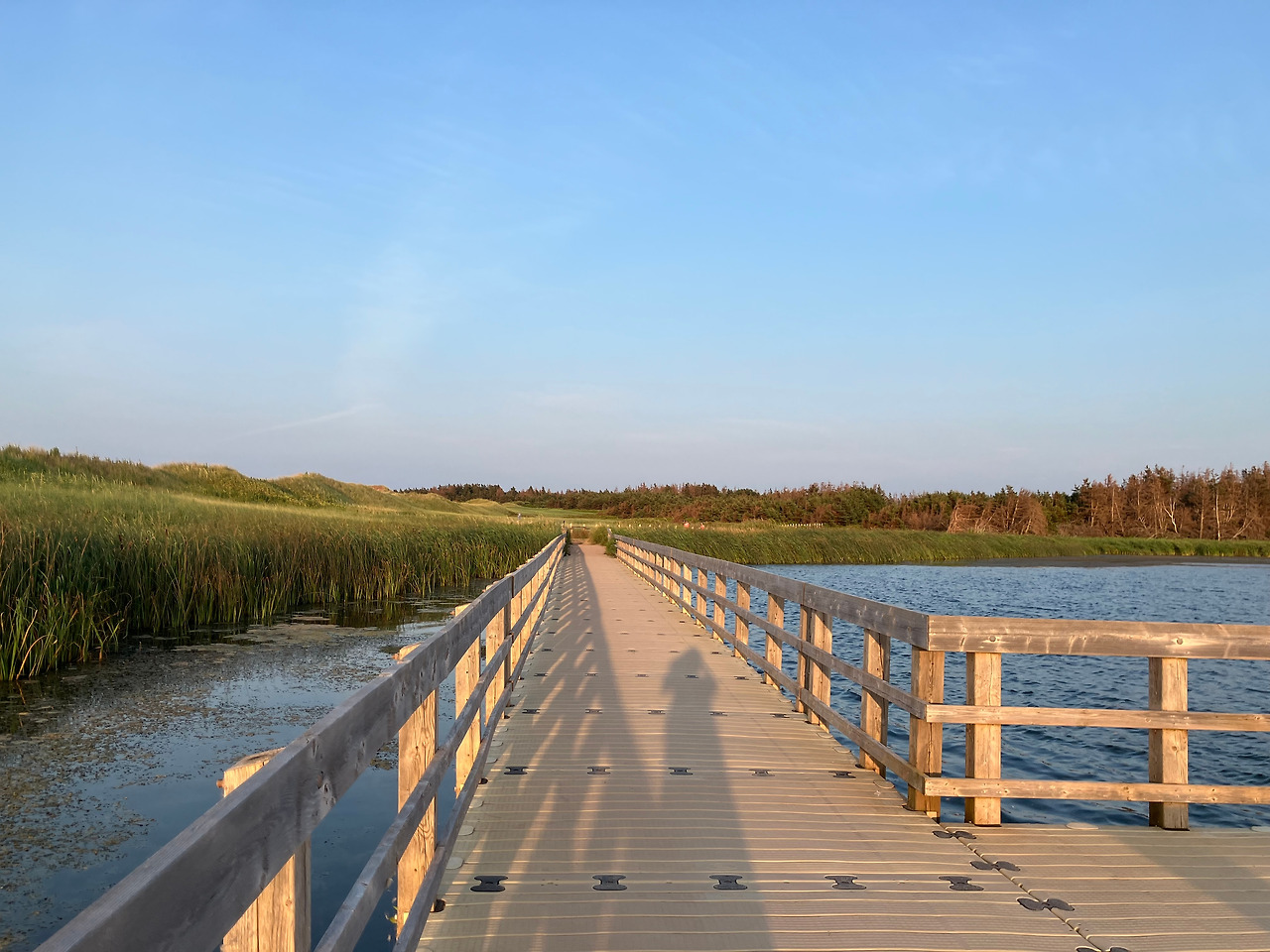 그린위치 다리.jpg