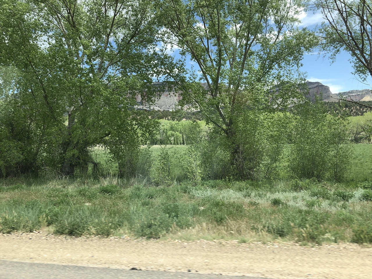 자이온 가는길1.jpg