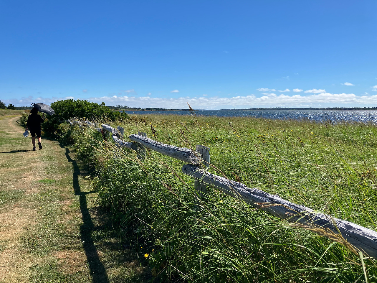 풍력발전소 열 산책길.jpg