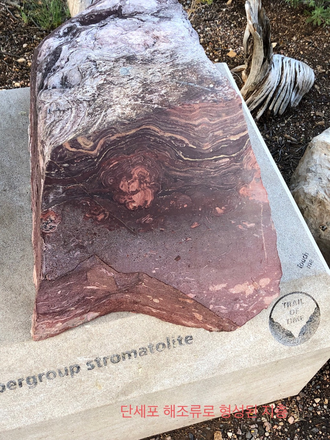 그랜드 캐년 암석2.jpg