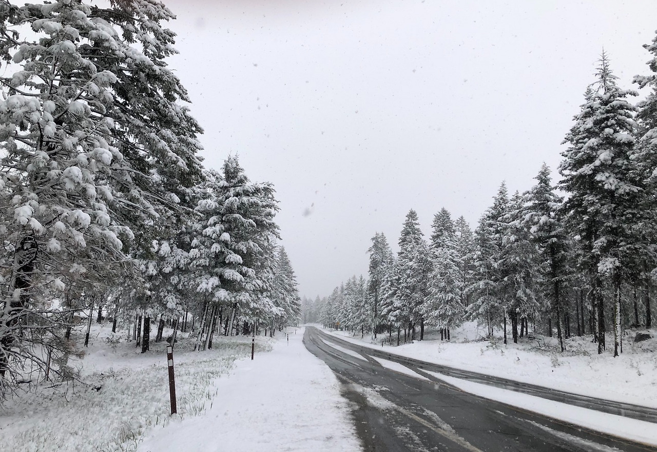 캐스케이드 눈길.jpg