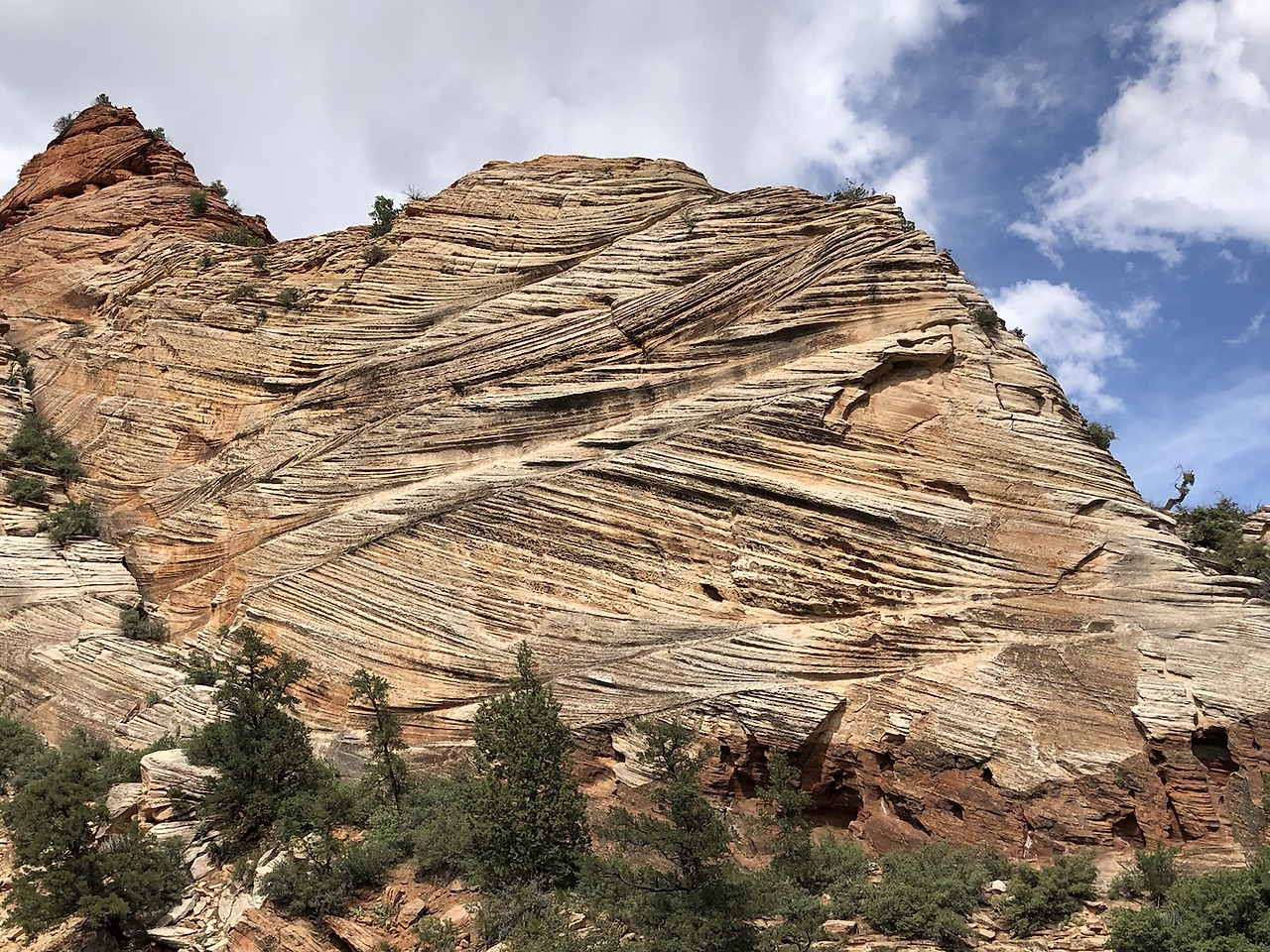 캐피탈 리프5.jpg