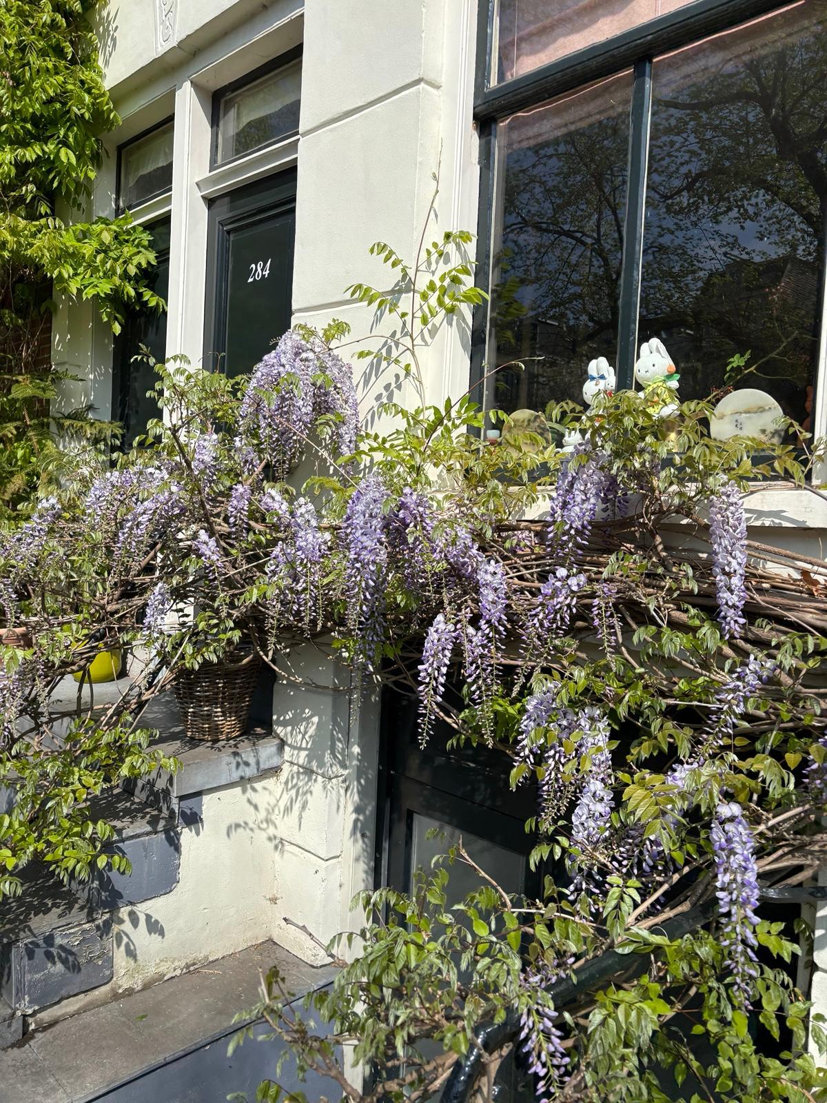 WhatsApp 이미지 2025-05-17, 16.44.25_c336a406.jpg