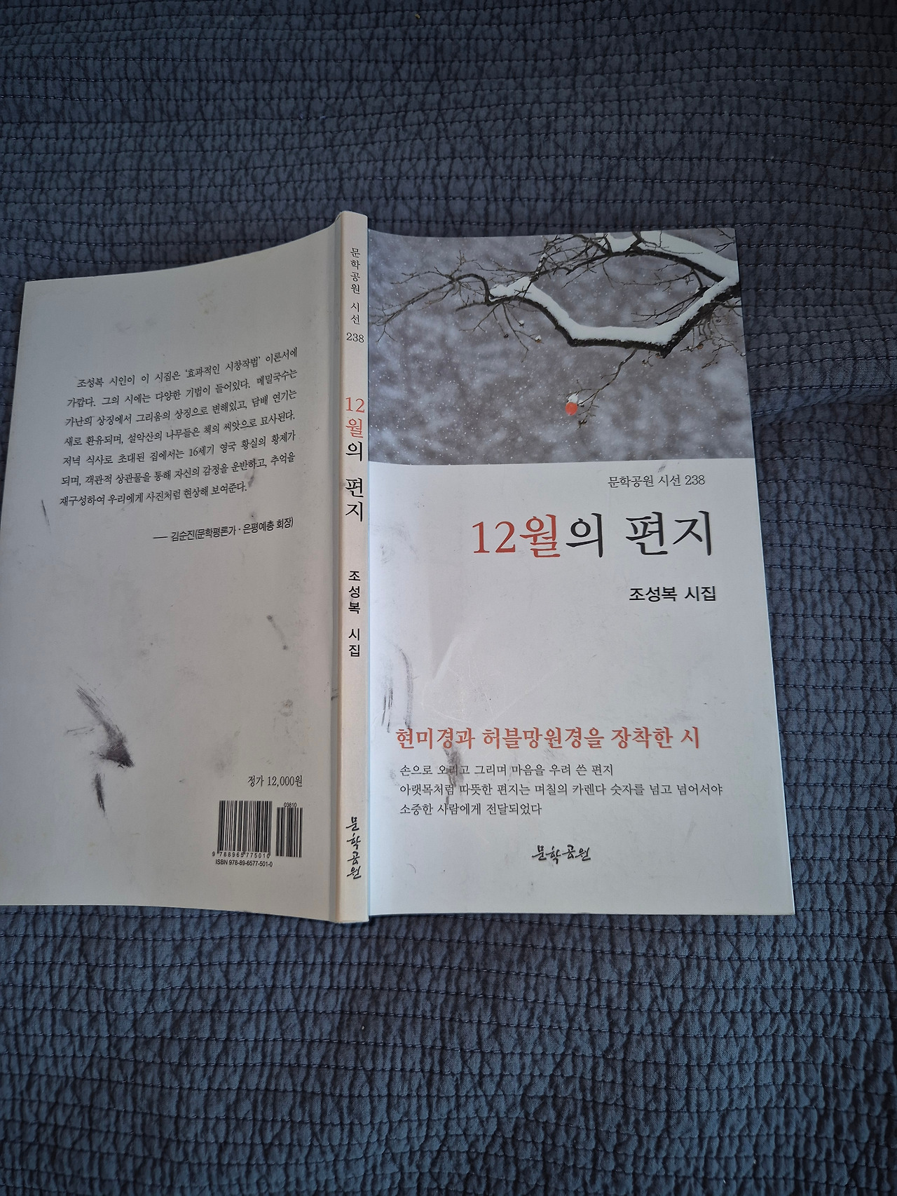 카지노 게임