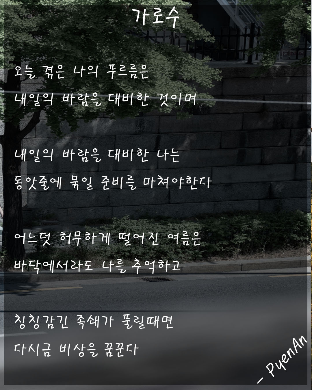 가로수.jpg
