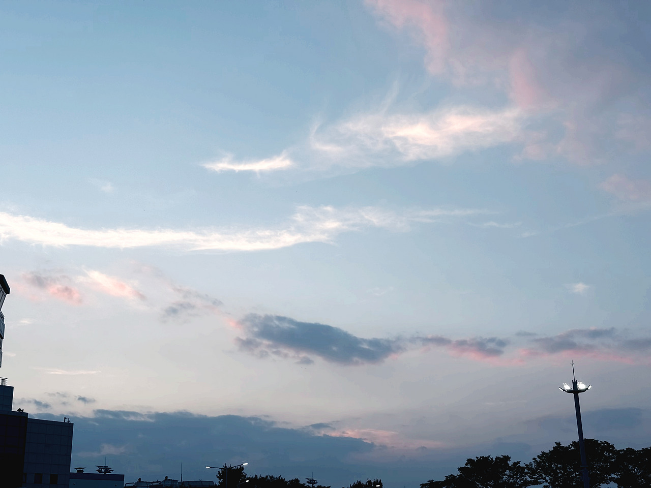 70대 아빠 관찰기록.jpg