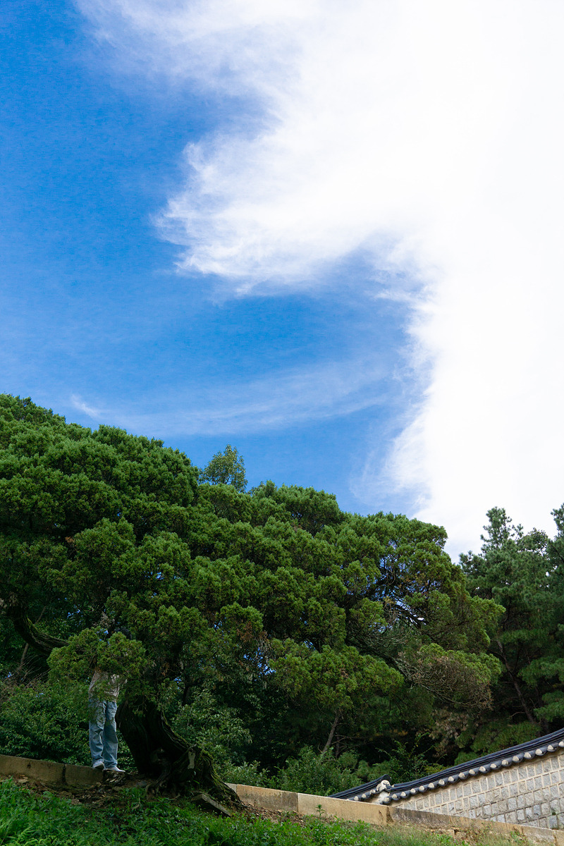 (241001) 자운서원10.jpg