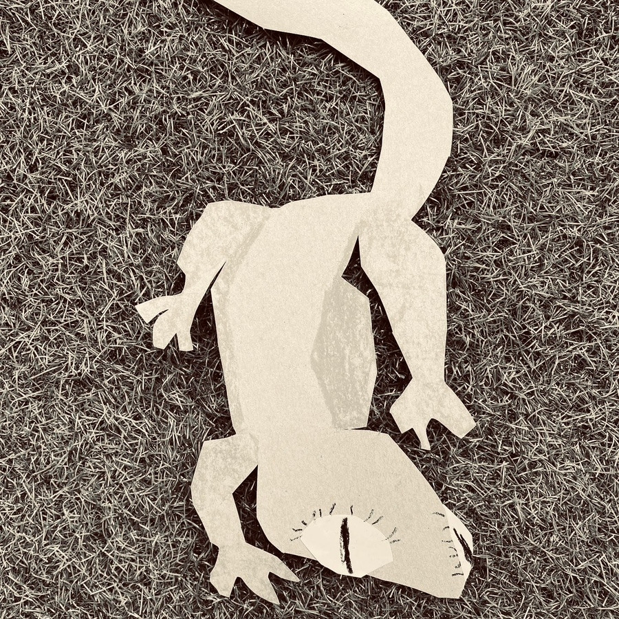 76962408-054A-4E59-A6D7-F28936DB7F79 (1).jpg