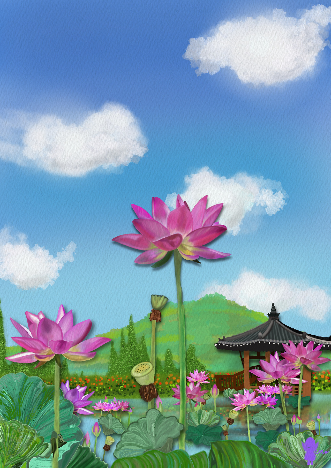 유호_여름의연꽃 (1).jpg