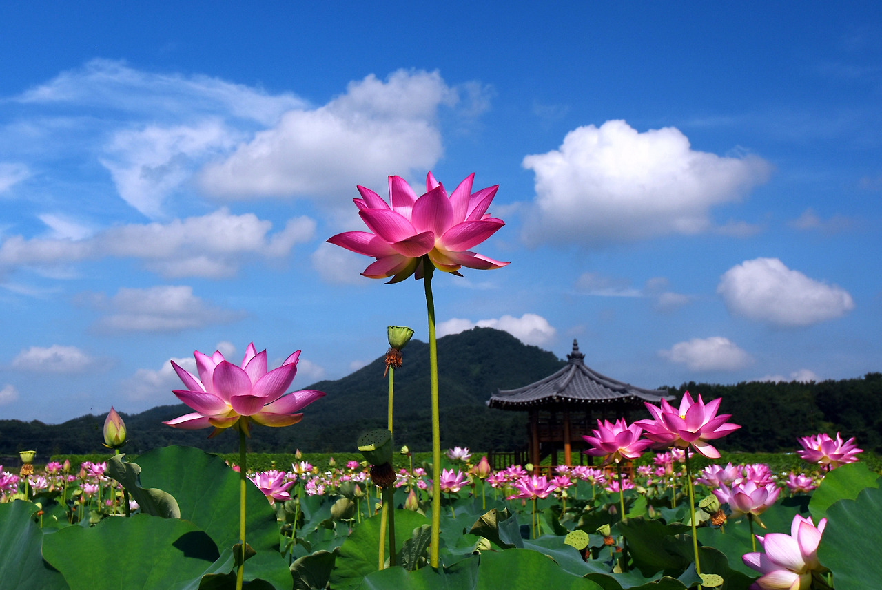 세026-038- 여름.014.jpg