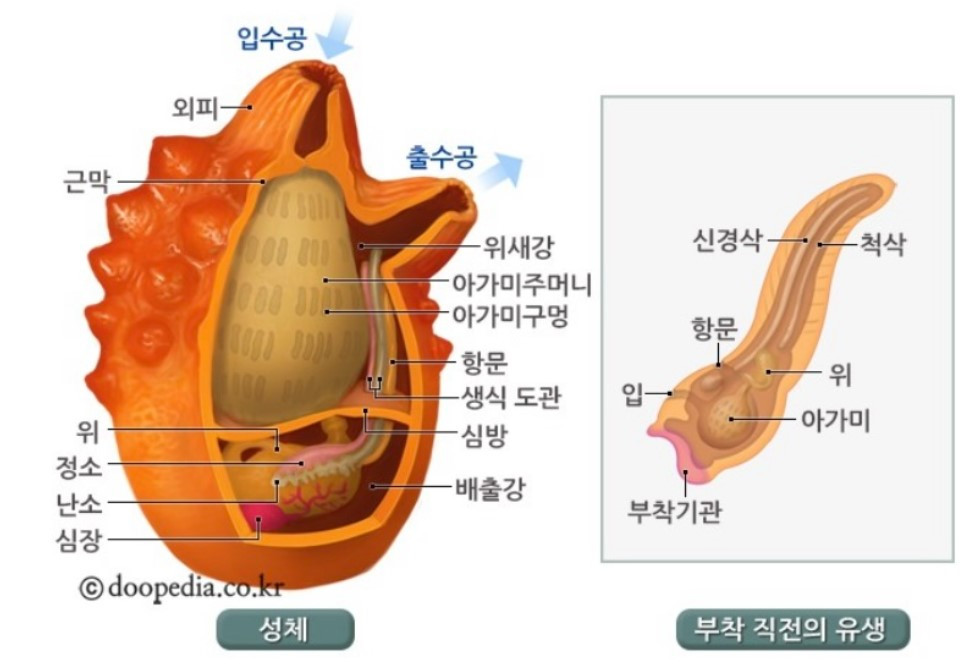 화면 캡처 2024-03-18 174655.jpg