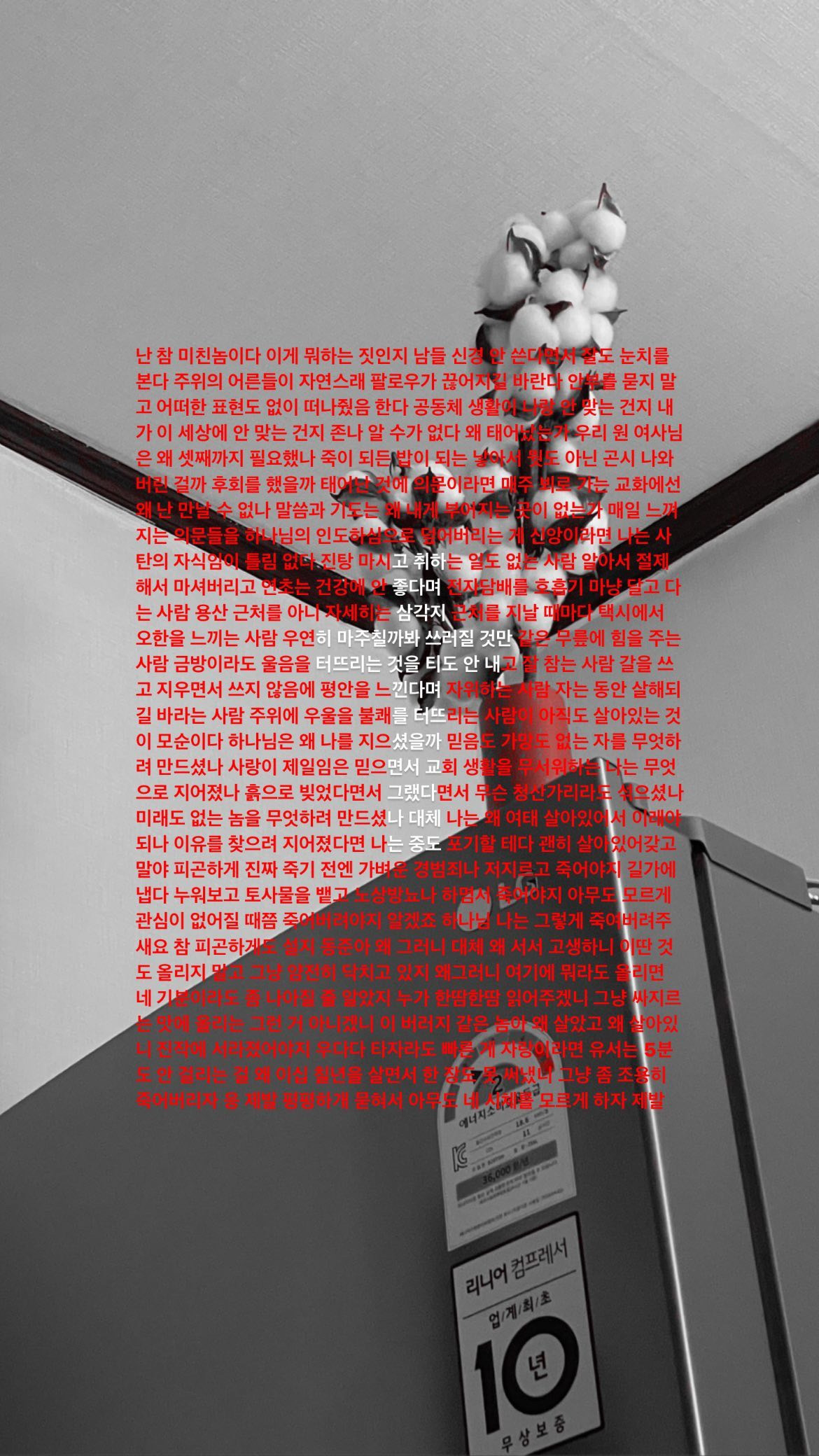 무료 카지노 게임