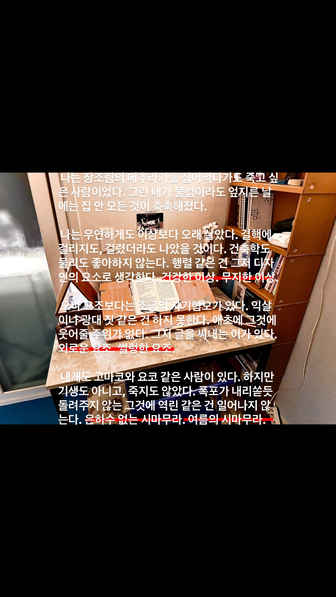 무료 카지노 게임