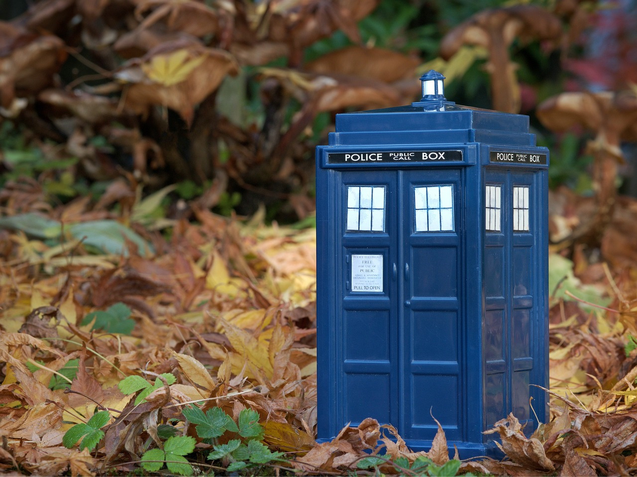 tardis-1816598_1280.jpg