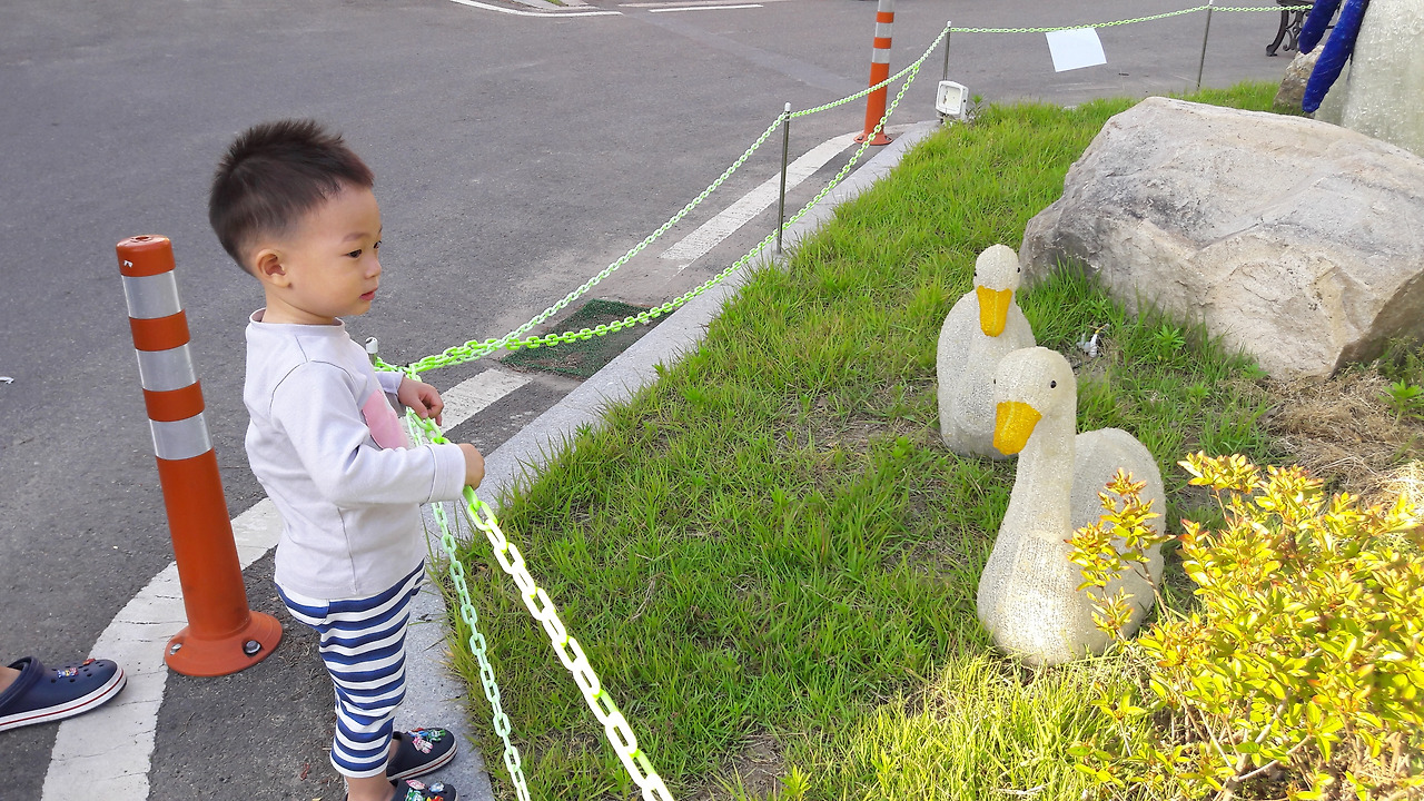 20160528_175031.jpg
