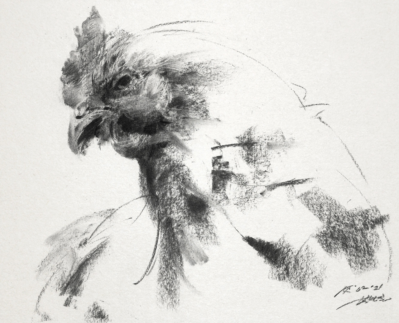 180221 닭목탄.jpg