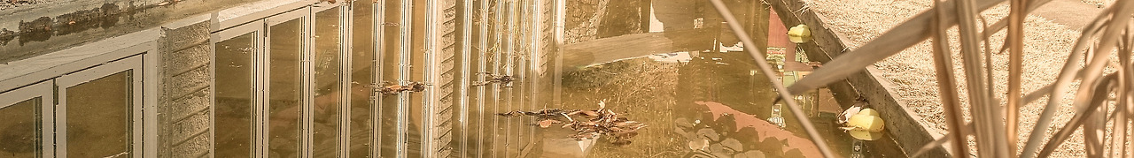 20260118_112217   _a.jpg