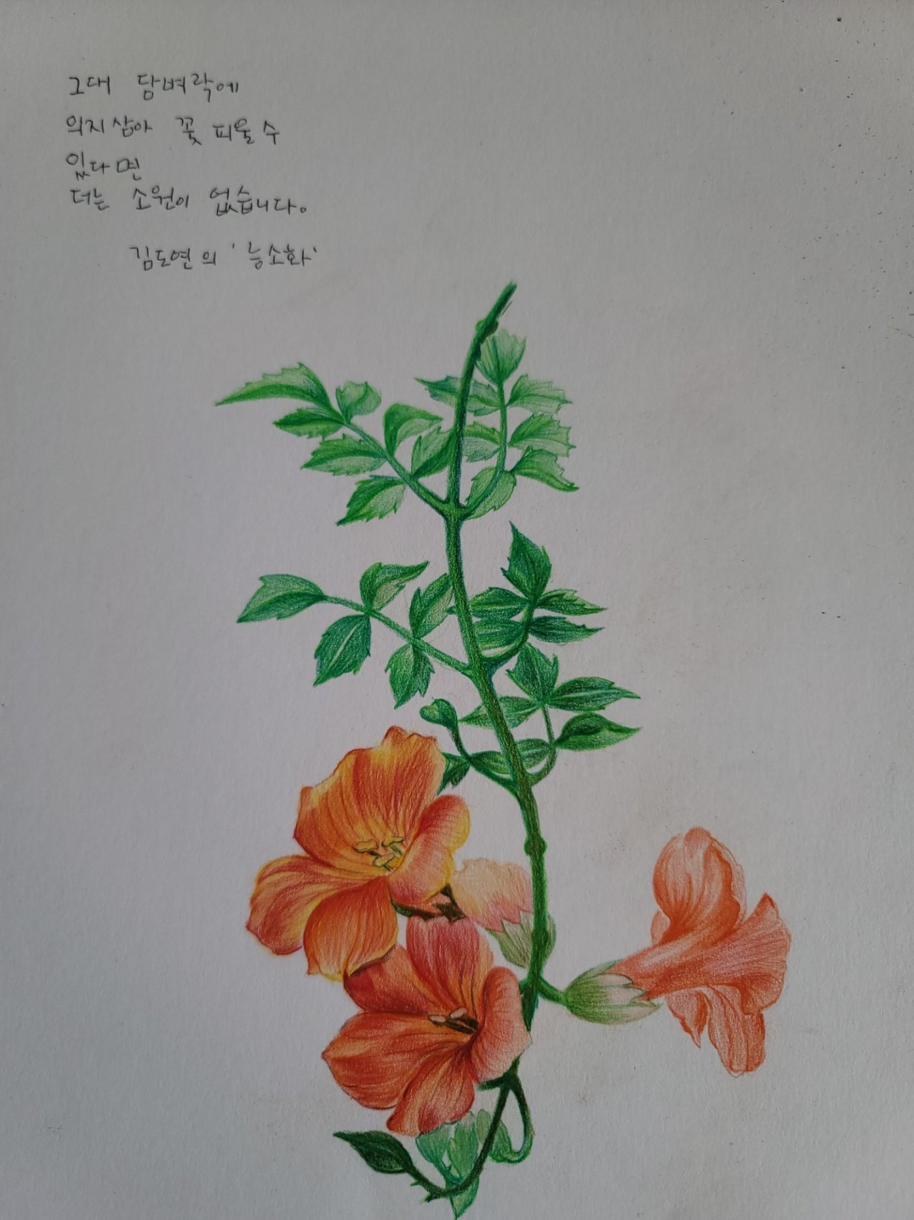 15화 <언제나 책봄>꽃으로 박완서를 읽다