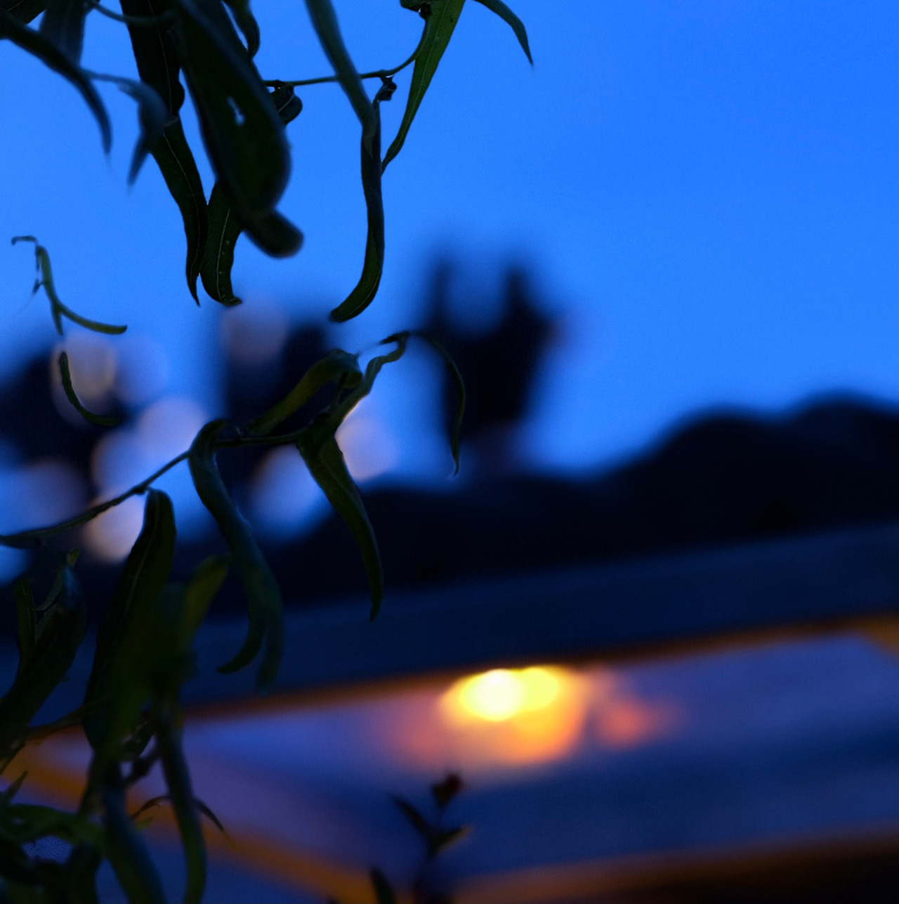 사진1 (브런치스토리 커버).jpg