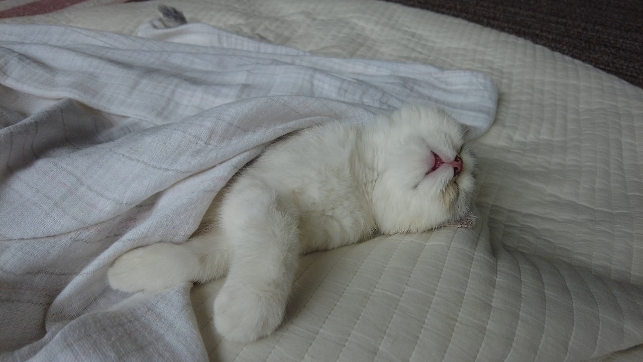 제목 없음_1.16.1.jpg