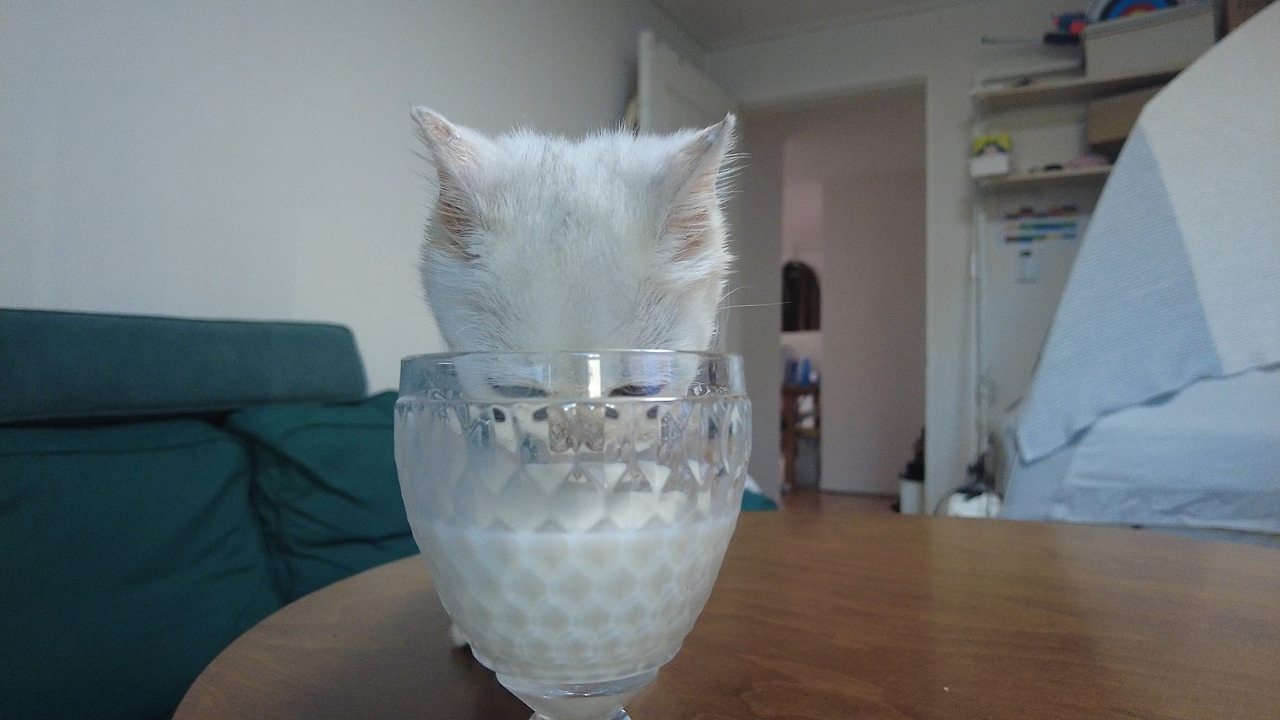 제목 없음_1.13.1.jpg