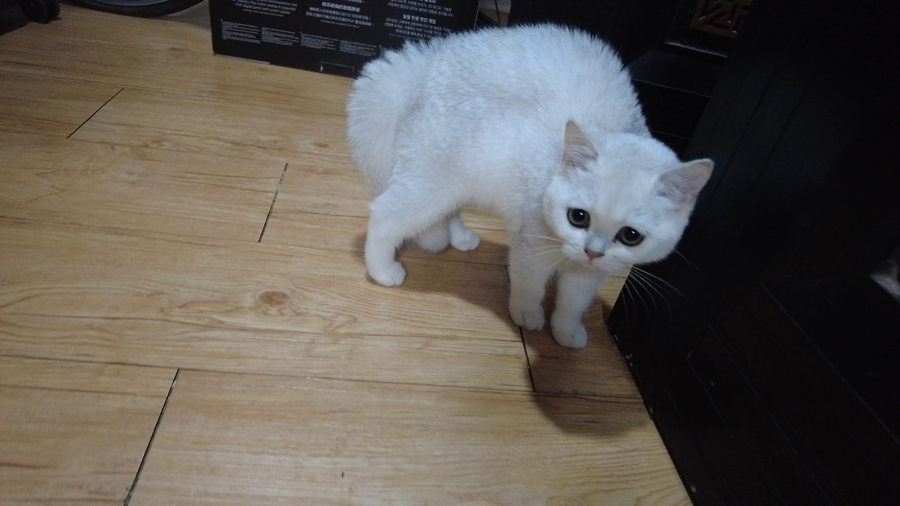 제목 없음_1.25.1.jpg