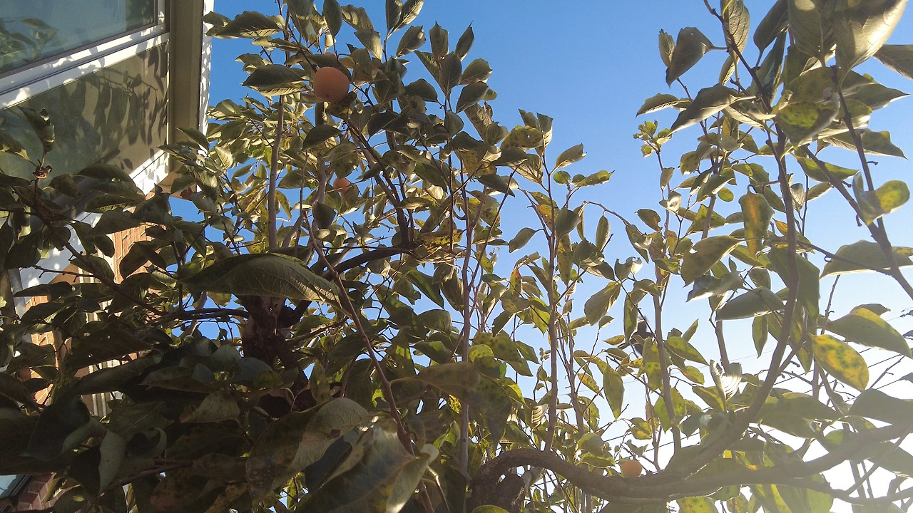 제목 없음_1.20.1.jpg