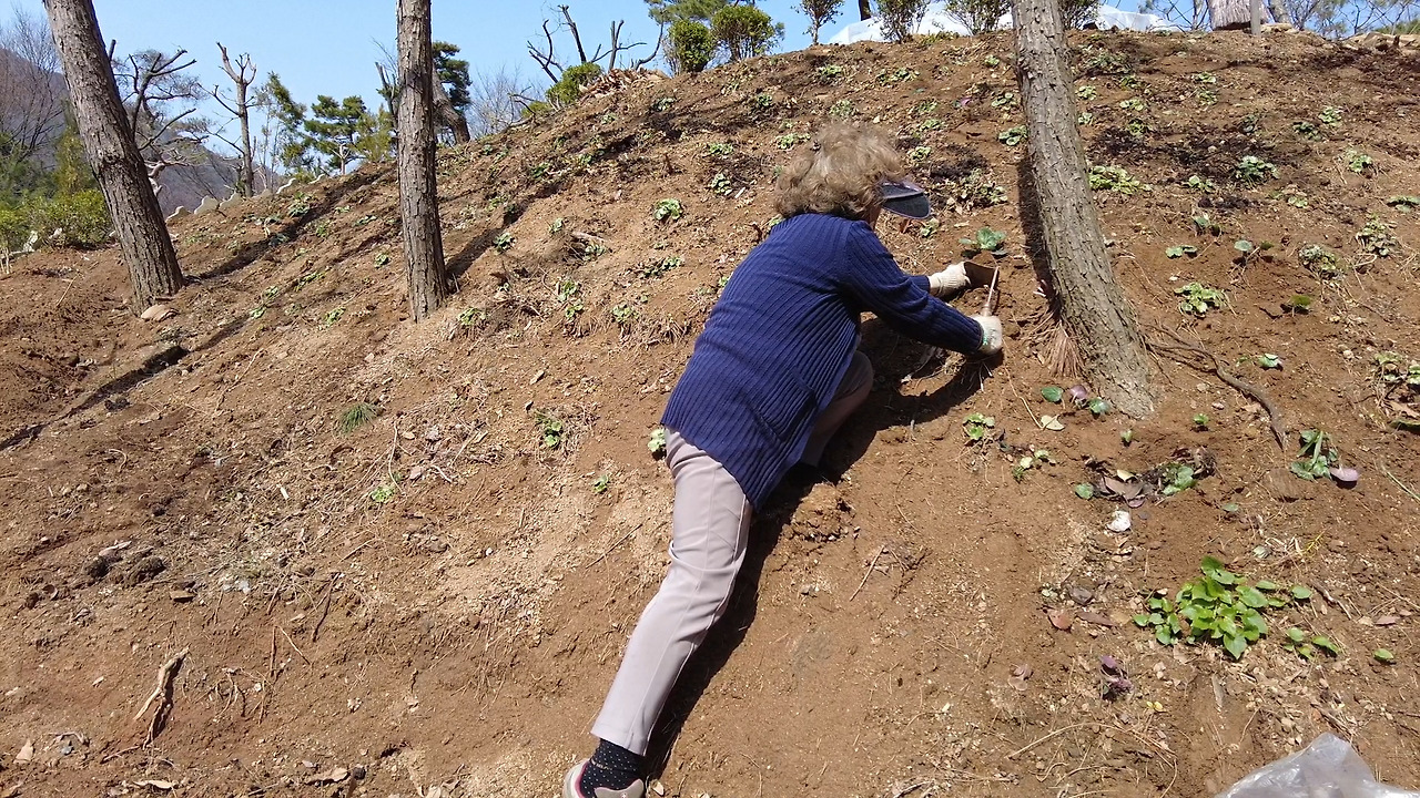 제목 없음_1.31.1.jpg