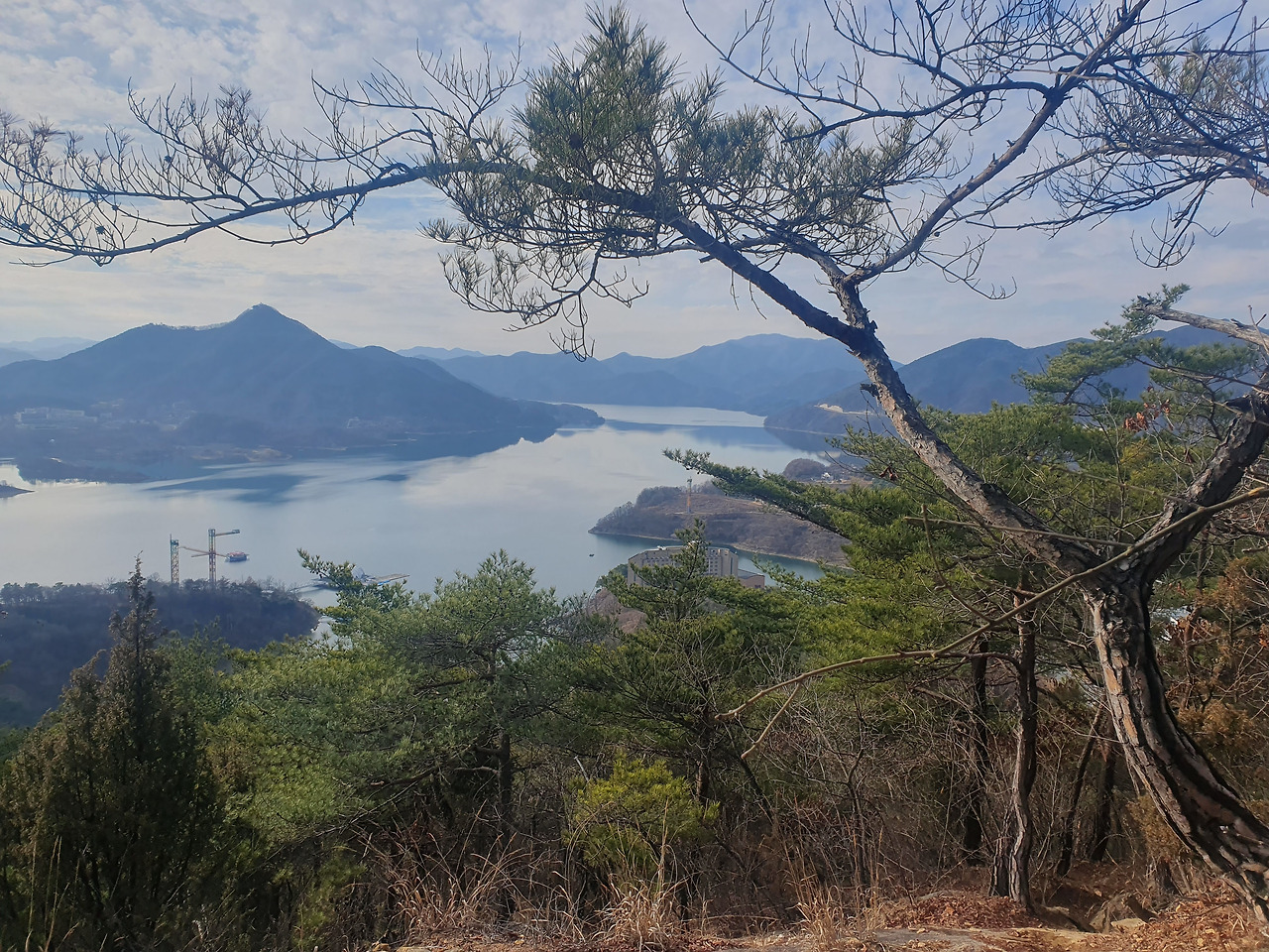 호수, 그리고 산 위 홀로 선 나무.jpg