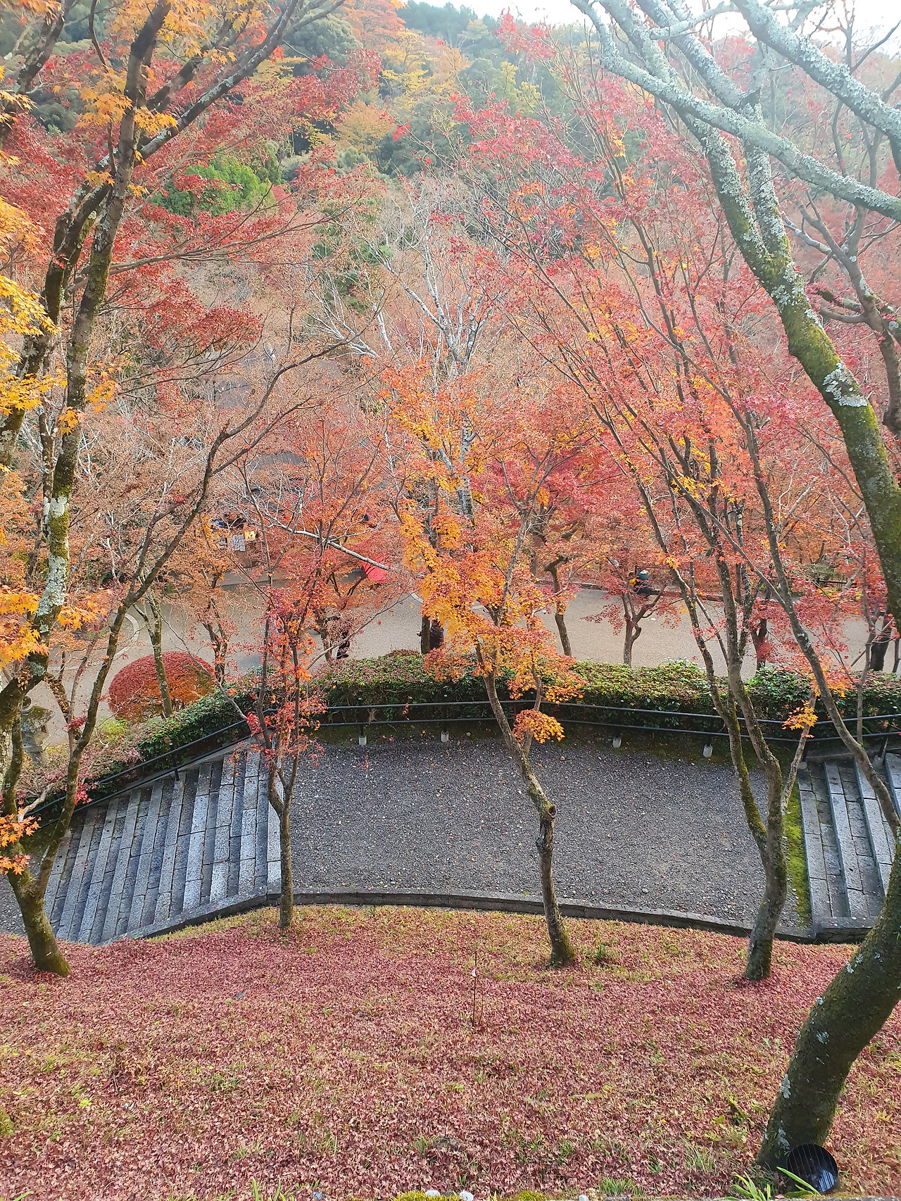 가을_교토.jpg